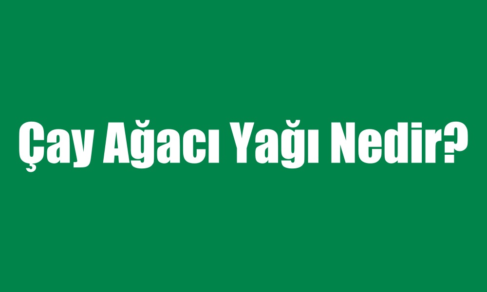 çay ağacı nedir