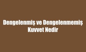 Dengelenmiş ve Dengelenmemiş Kuvvet Nedir