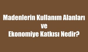 madenlerin kullanım alanları