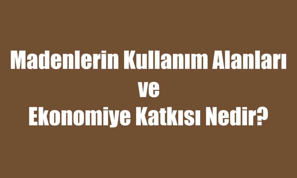 madenlerin kullanım alanları