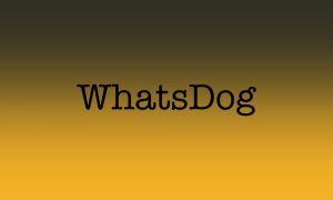 whatsdog