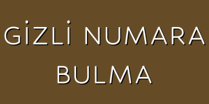 gizli numara bulma